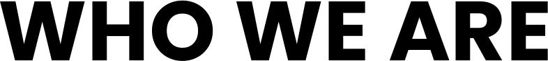 logo light